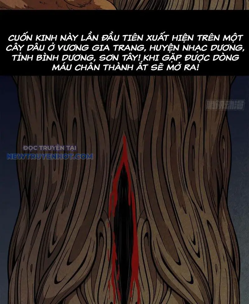 Đấu Yếm Thần Nettruyen ZZZ Chương 60 Page 25