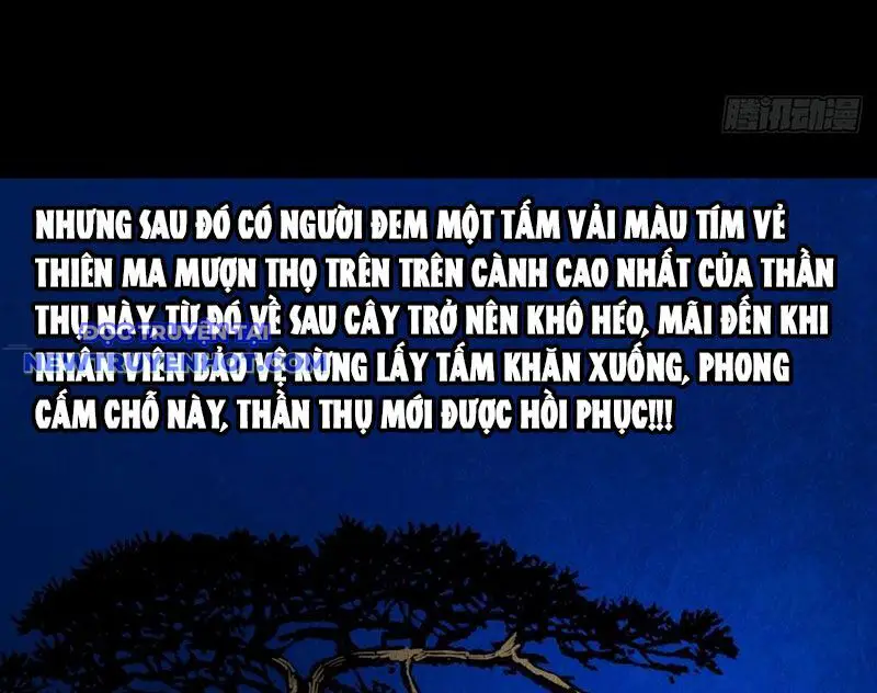 Đấu Yếm Thần Nettruyen ZZZ Chương 131 Page 13