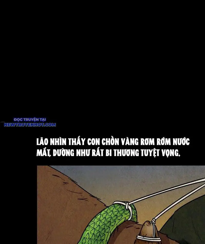 Đấu Yếm Thần Nettruyen ZZZ Chương 108 Page 12