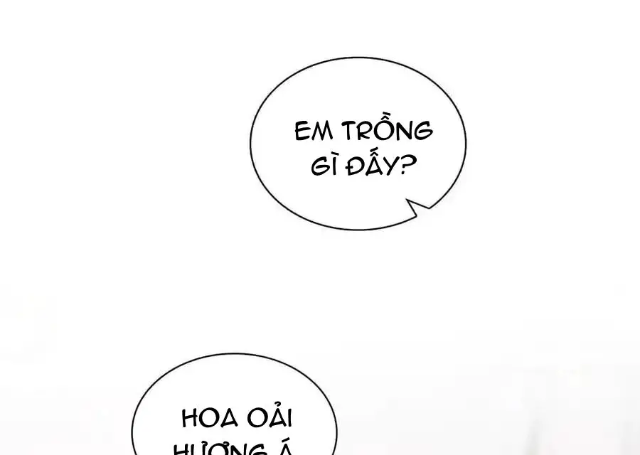 Bà Xã Nhà Tôi Đến Từ Ngàn Năm Trước Nettruyen ZZZ Chương 274 Page 51