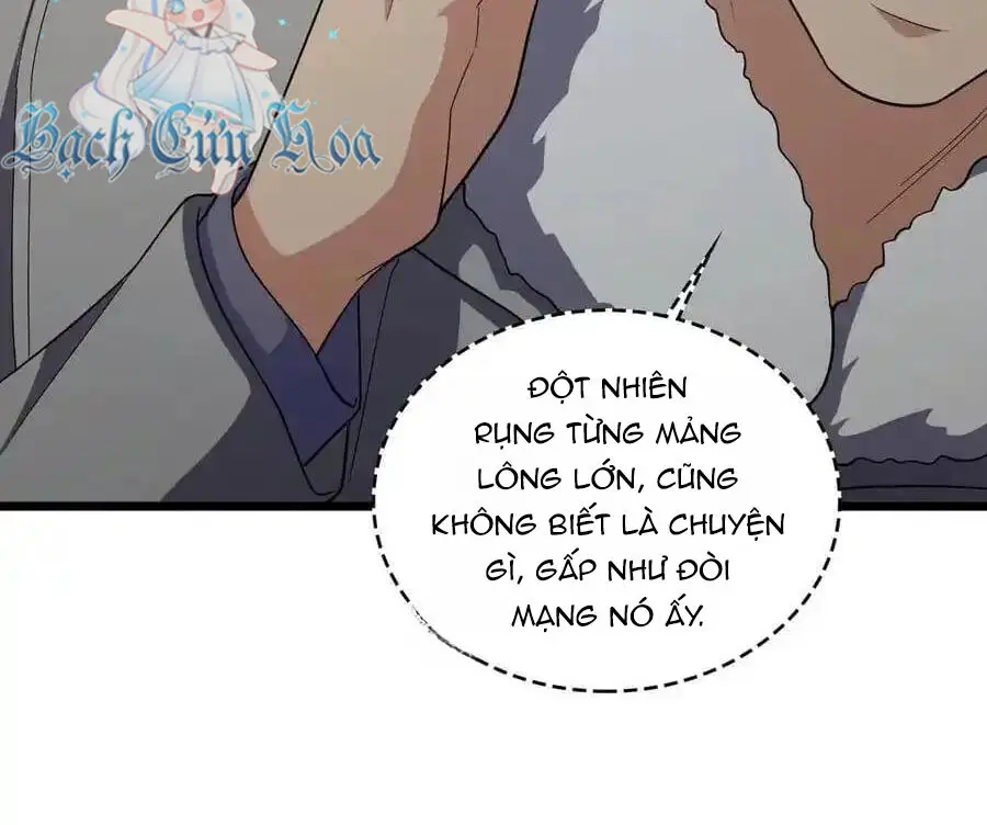 Bà Xã Nhà Tôi Đến Từ Ngàn Năm Trước Nettruyen ZZZ Chương 272 Page 113