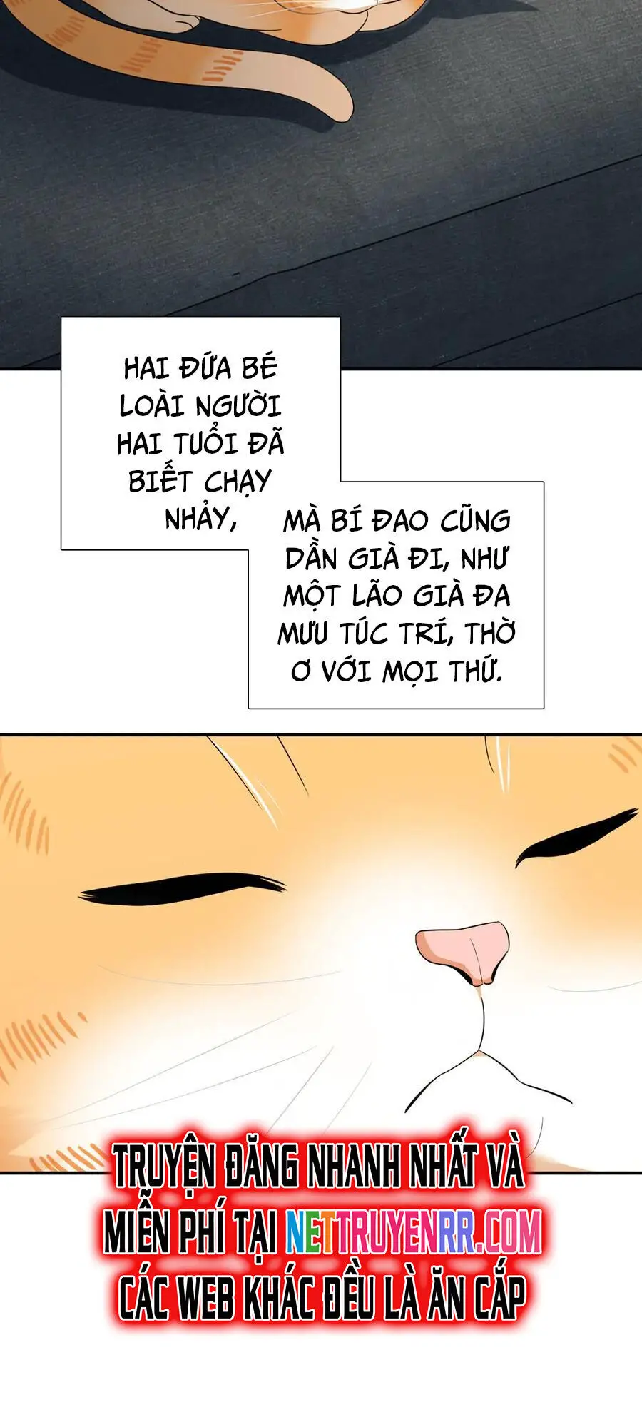 Bà Xã Nhà Tôi Đến Từ Ngàn Năm Trước Nettruyen ZZZ Chương 355 Page 3