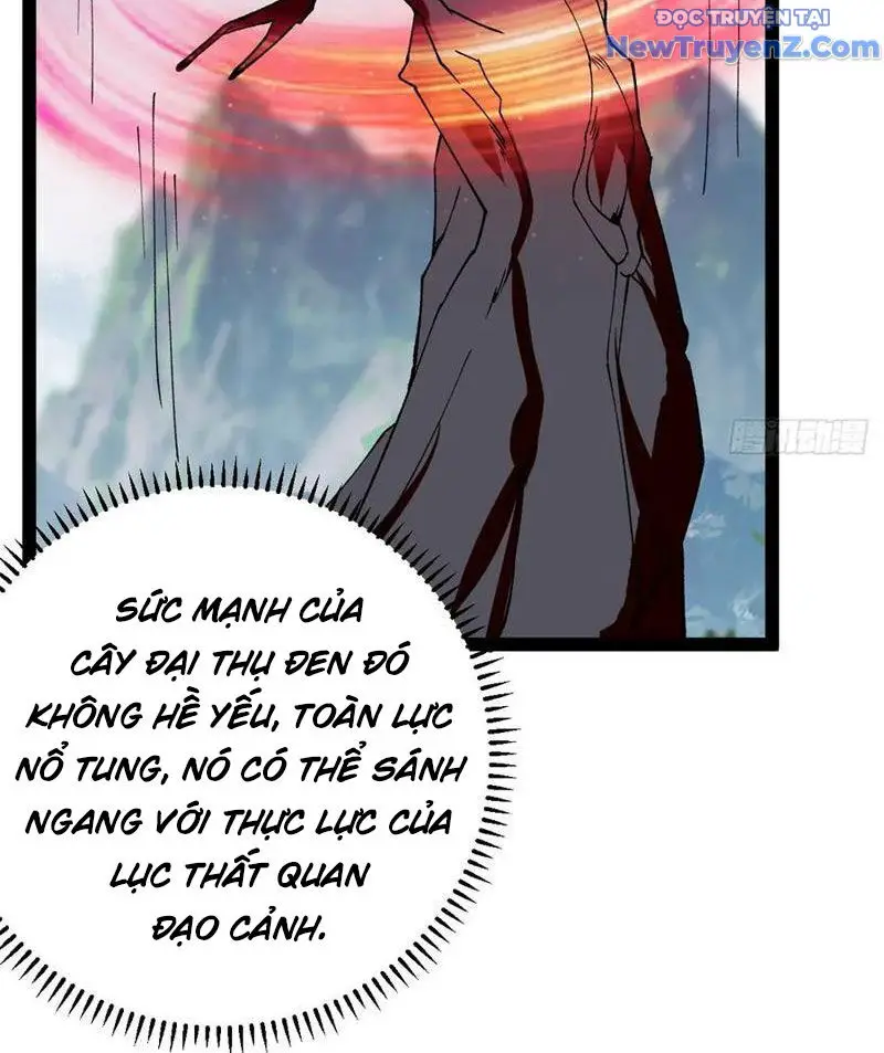 Ta Ở Nhà 100 Năm Khi Ra Ngoài Đã Vô Địch Nettruyen ZZZ Chương 327 Page 62