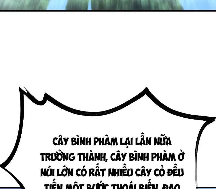 Ta Ở Nhà 100 Năm Khi Ra Ngoài Đã Vô Địch Nettruyen ZZZ Chương 124 Page 17