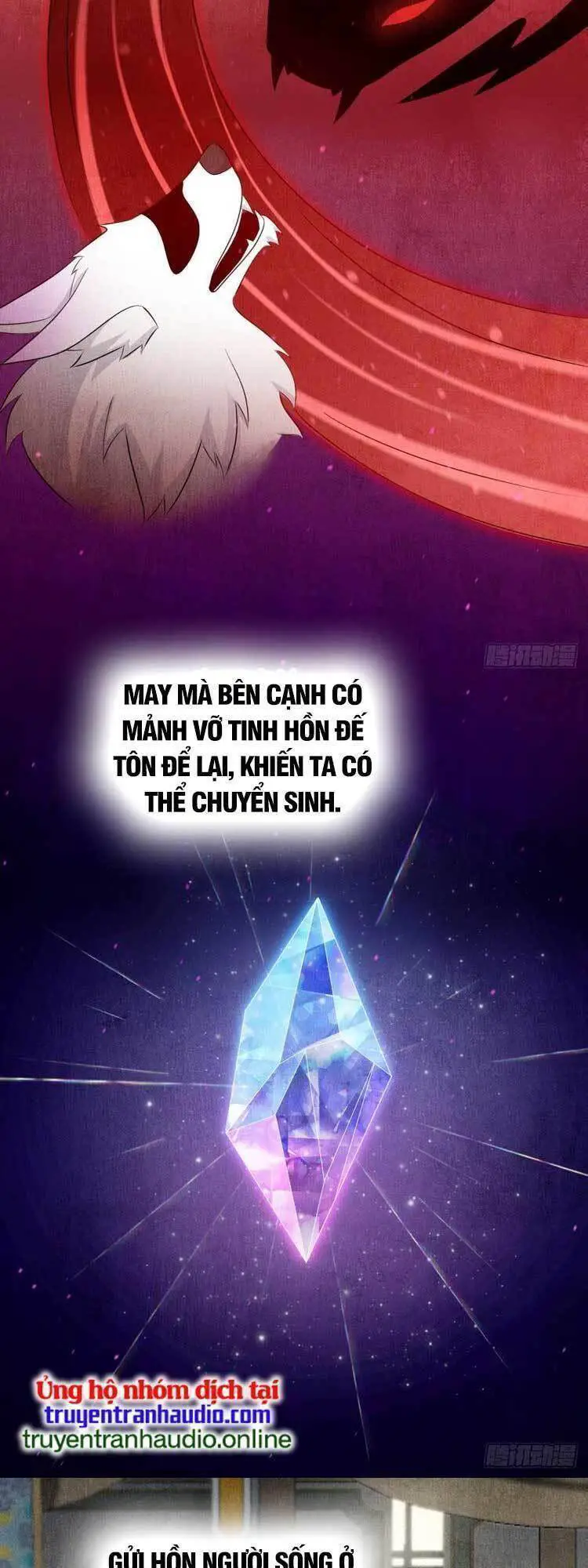 Ta Ở Nhà 100 Năm Khi Ra Ngoài Đã Vô Địch Nettruyen ZZZ Chương 59 Page 6