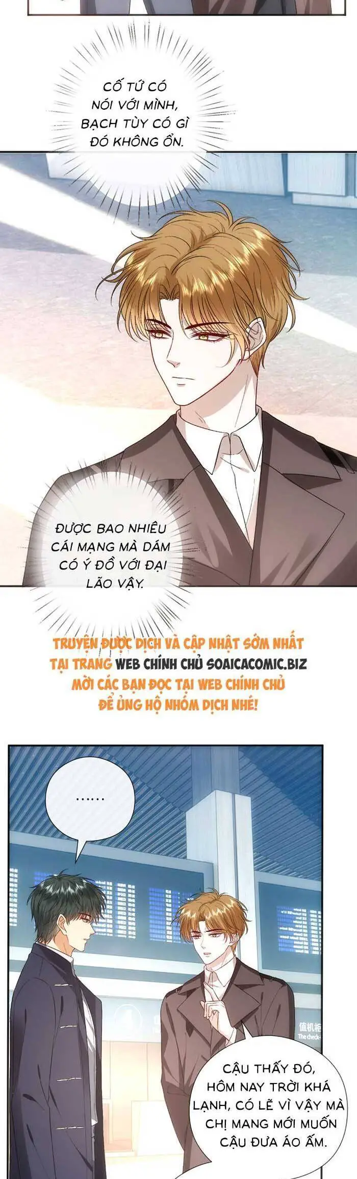 Vợ Của Lục Tổng Không Phải Dạng Vừa Nettruyen ZZZ Chương 175 Page 5