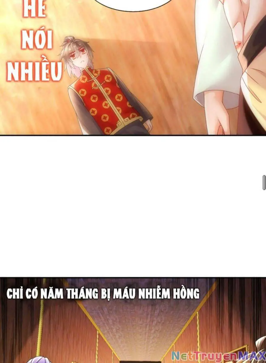 Tuyệt Sắc Đạo Lữ Đều Nói Ngô Hoàng Thể Chất Vô Địch Nettruyen ZZZ Chương 59 Page 41
