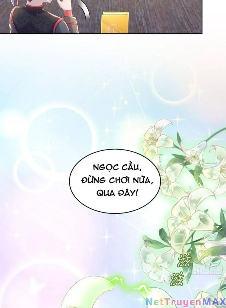 Tuyệt Sắc Đạo Lữ Đều Nói Ngô Hoàng Thể Chất Vô Địch Nettruyen ZZZ Chương 54 Page 7
