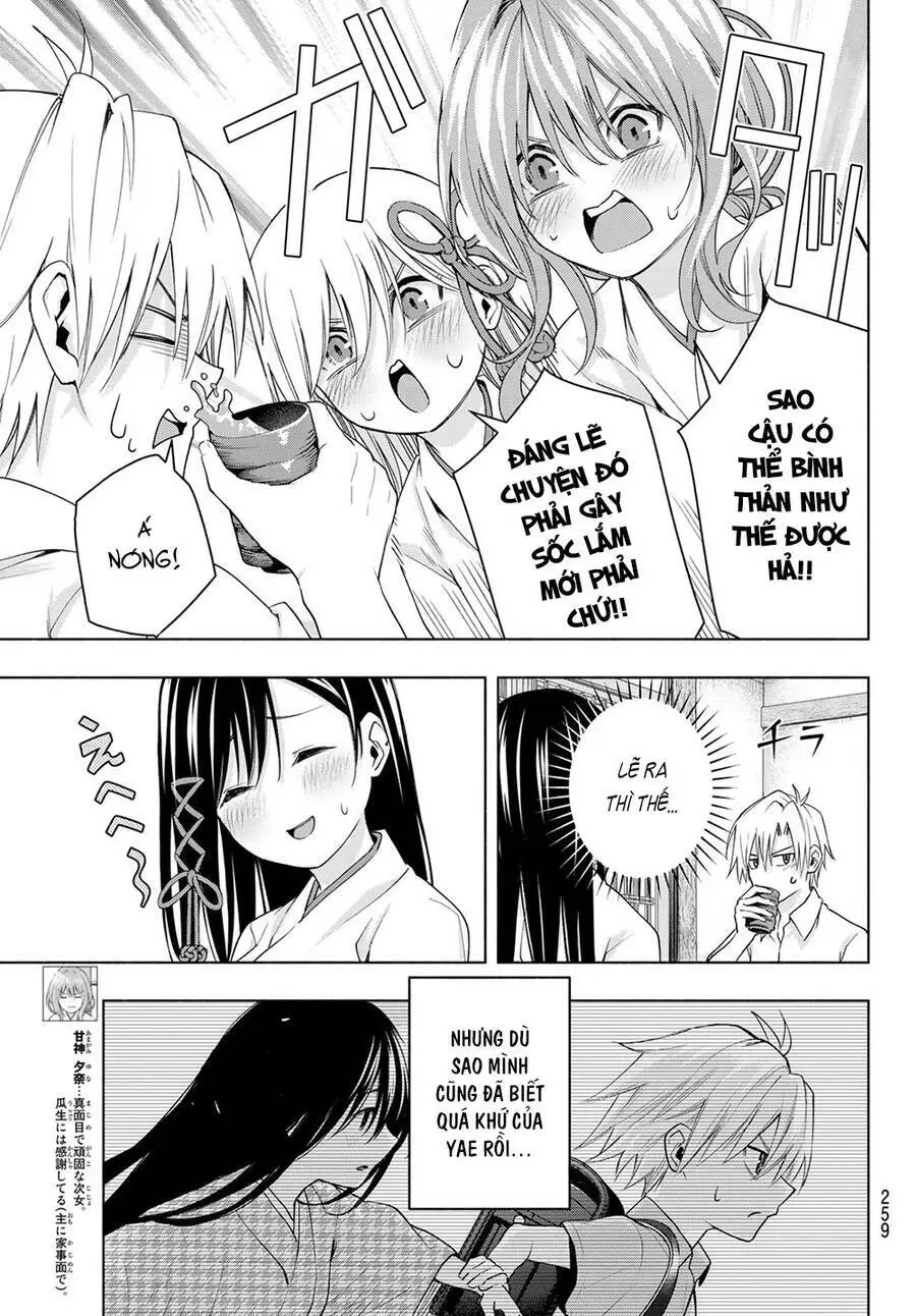 Amagami-San Chi No Enmusubi! Nettruyen ZZZ Chương 51 Page 7
