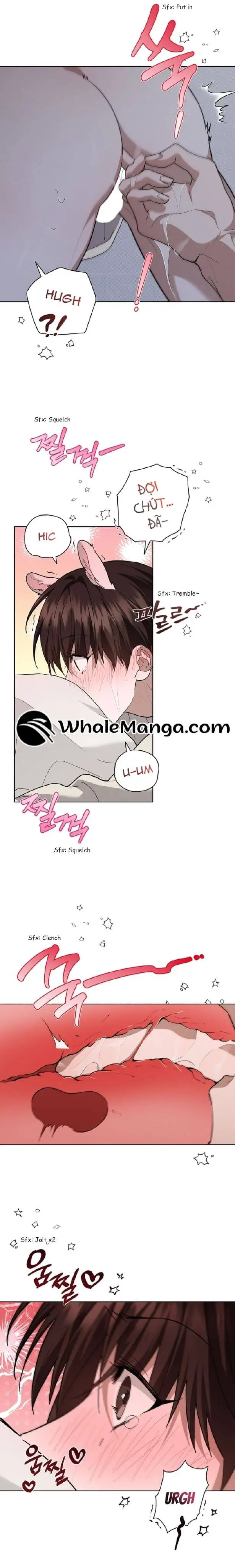 Đừng Đùa Với Cún Con Nettruyen ZZZ Chương 25 Page 12