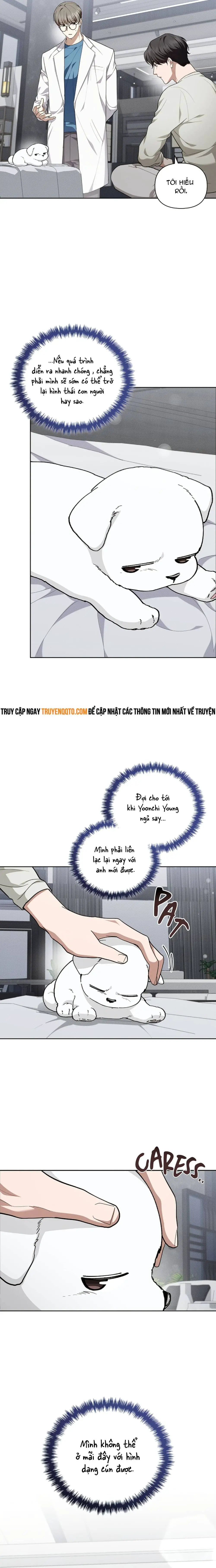 Đừng Đùa Với Cún Con Nettruyen ZZZ Chương 13 Page 14