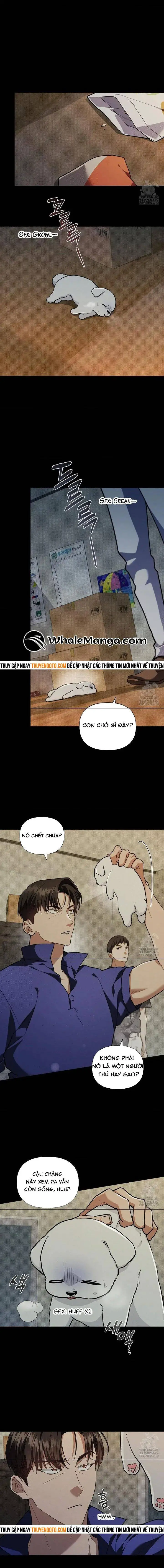 Đừng Đùa Với Cún Con Nettruyen ZZZ Chương 16 Page 4