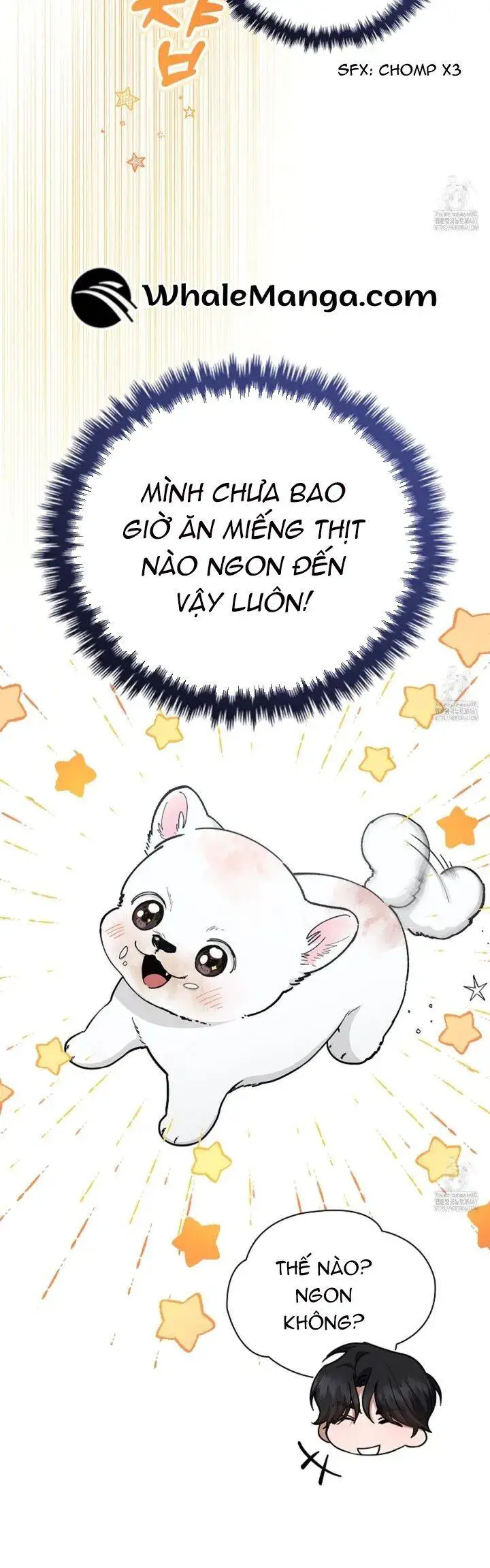 Đừng Đùa Với Cún Con Nettruyen ZZZ Chương 12 Page 27