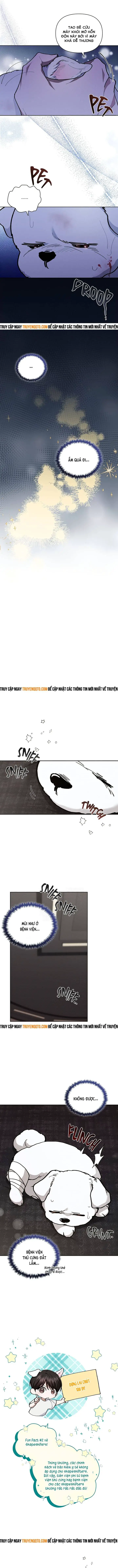 Đừng Đùa Với Cún Con Nettruyen ZZZ Chương 3 Page 17