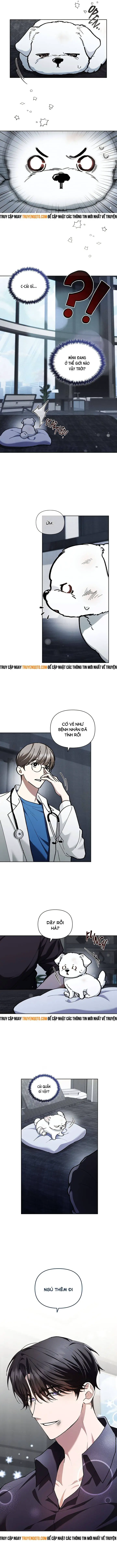 Đừng Đùa Với Cún Con Nettruyen ZZZ Chương 3 Page 18