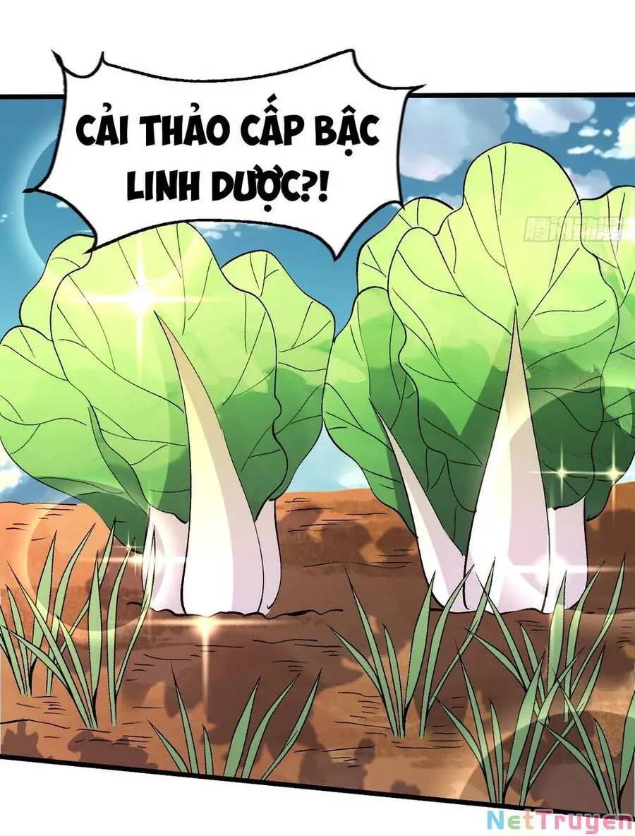 Nguyên Lai Ta Là Tu Tiên Đại Lão Nettruyen ZZZ Chương 157 Page 22