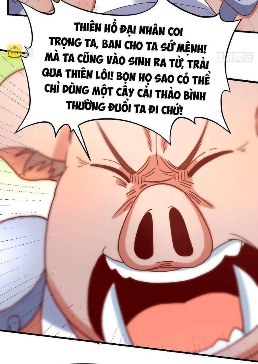 Nguyên Lai Ta Là Tu Tiên Đại Lão Nettruyen ZZZ Chương 111 Page 49