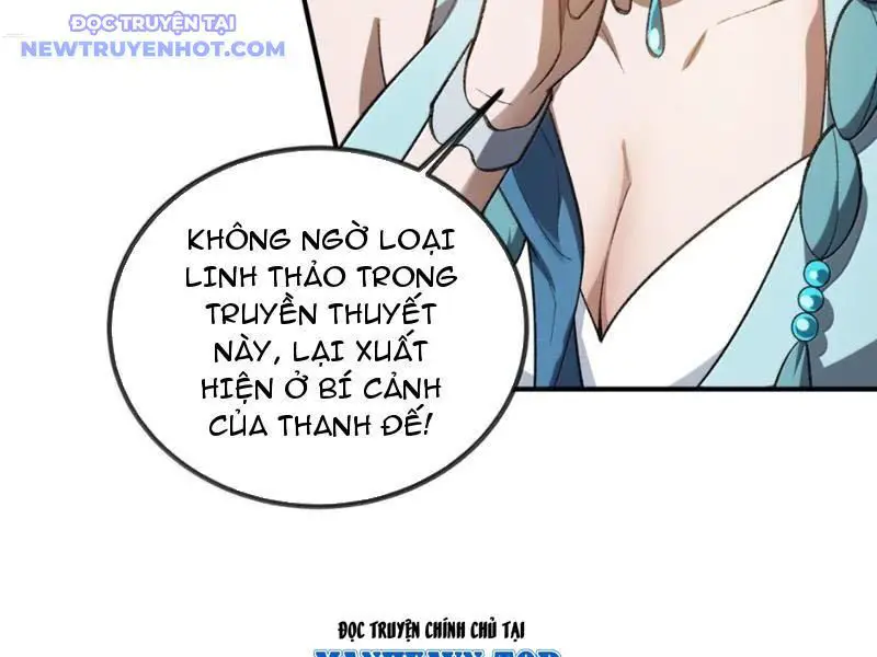 Ta Ở Tu Tiên Giới Chỉ Làm Giờ Hành Chính Nettruyen ZZZ Chương 100 Page 73