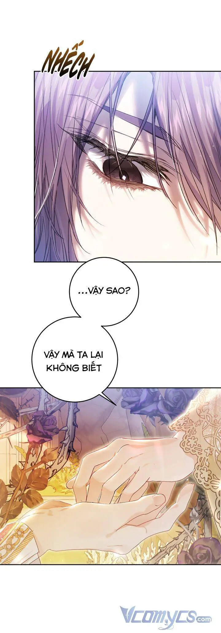 Kẻ Phản Diện Là Một Con Rối Nettruyen ZZZ Chương 70 Page 6