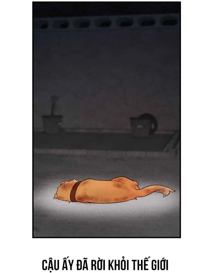 Thiên Tài Bình Dị Nettruyen ZZZ Chương 1 Page 84