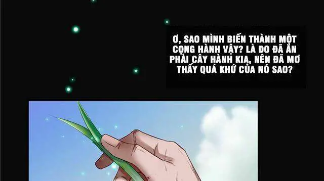 Tu Chân Nói Chuyện Phiếm Quần Nettruyen ZZZ Chương 158.1 Page 13