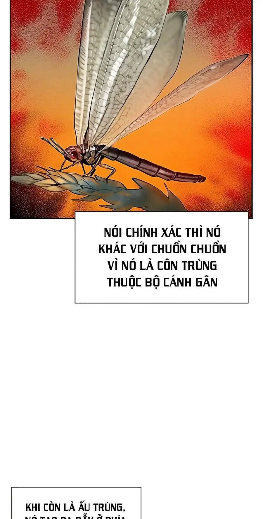 Nhân Trùng Đại Chiến Nettruyen ZZZ Chương 41 Page 77