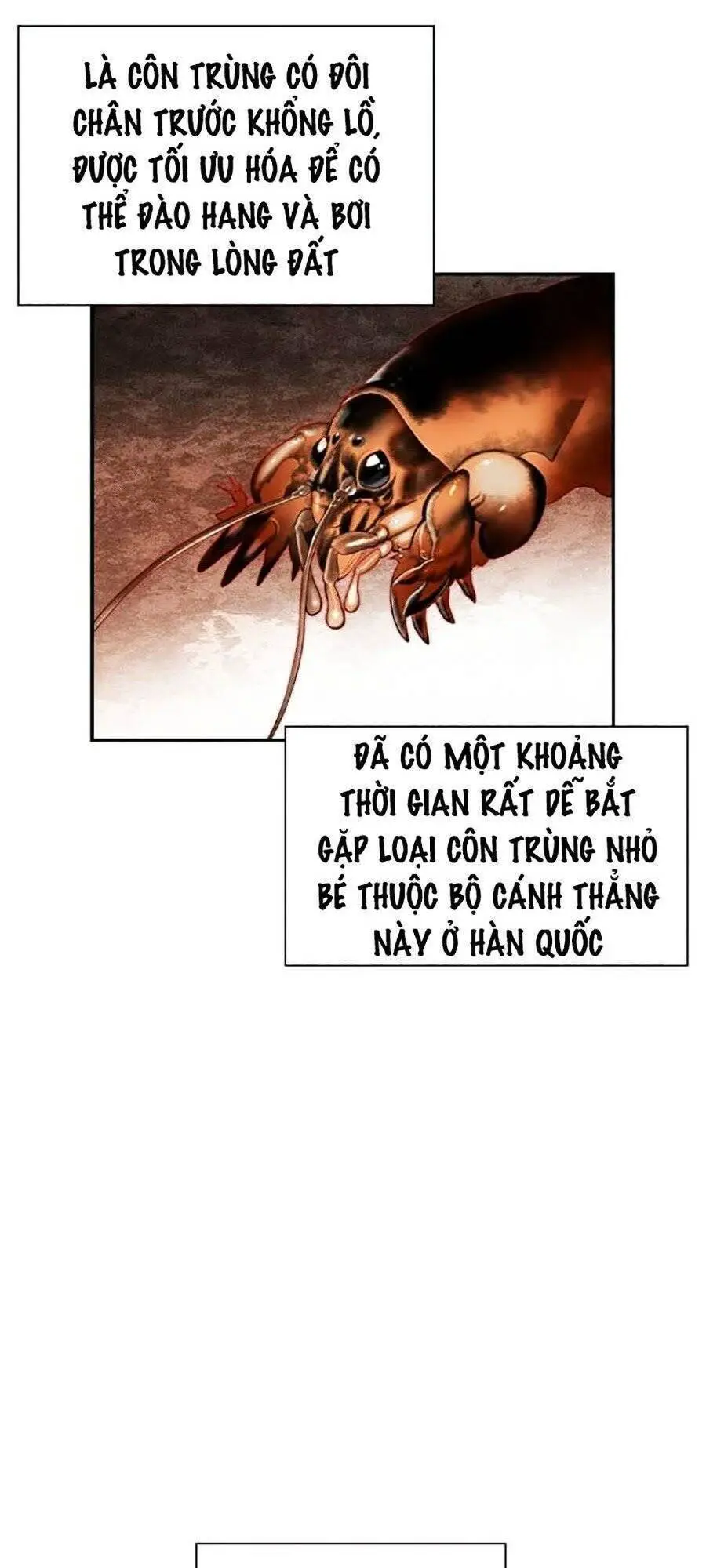 Nhân Trùng Đại Chiến Nettruyen ZZZ Chương 33 Page 78