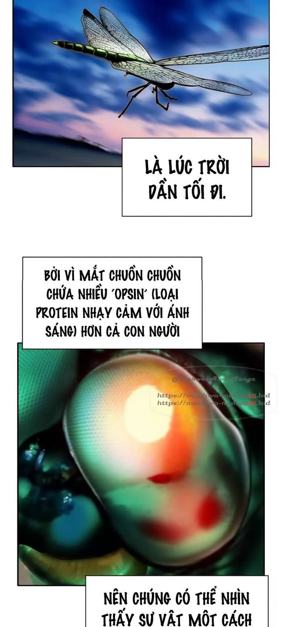 Nhân Trùng Đại Chiến Nettruyen ZZZ Chương 34 Page 109