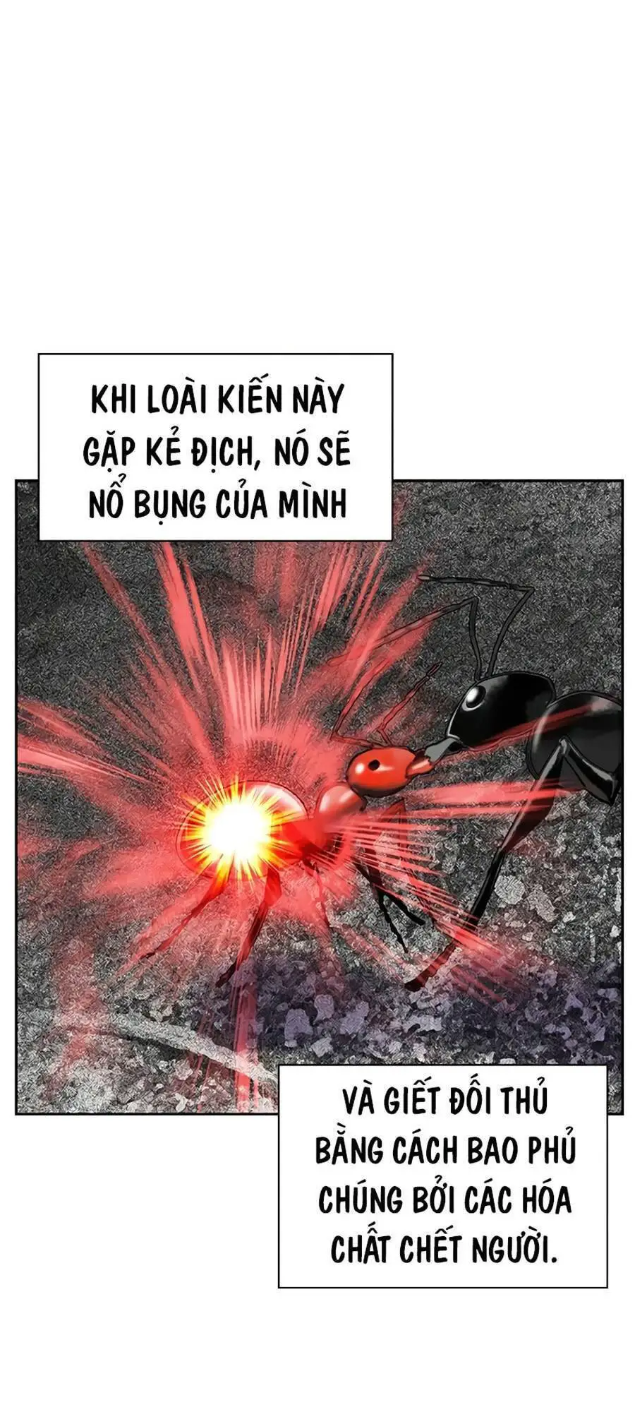 Nhân Trùng Đại Chiến Nettruyen ZZZ Chương 56 Page 28