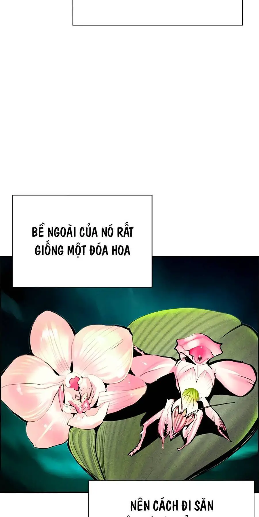 Nhân Trùng Đại Chiến Nettruyen ZZZ Chương 57 Page 4