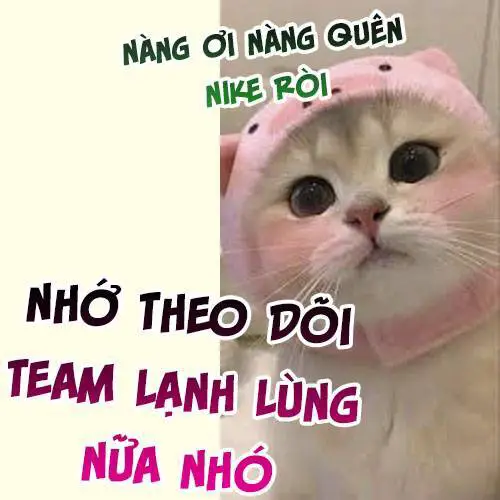 Đi Thi Thôi Nào , Tiểu Hắc Báo Nettruyen ZZZ Chương 30 Page 26