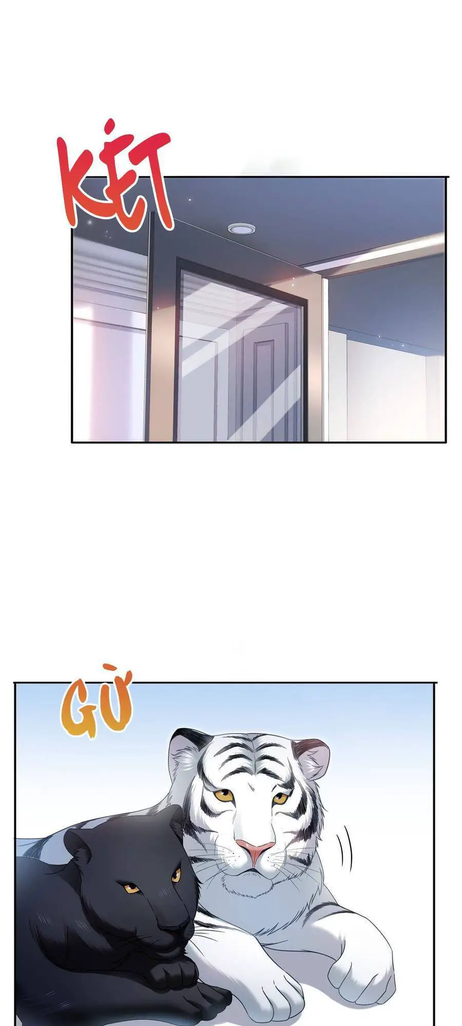 Đúng Như Hàn Quang Gặp Nắng Gắt Nettruyen ZZZ Chương 321 Page 5