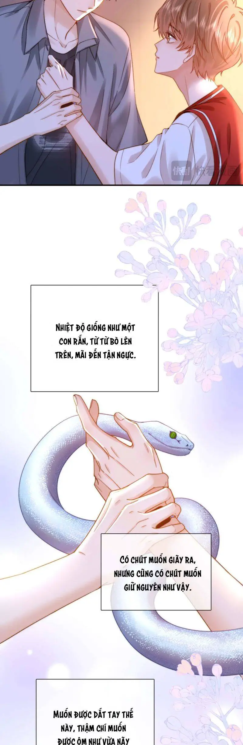 Chất Dị Ứng Đáng Yêu Nettruyen ZZZ Chương 74 Page 20