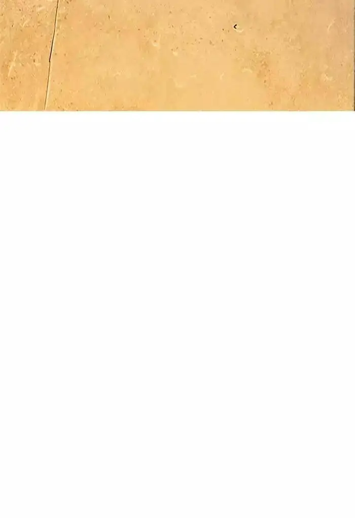 Hoán Đổi Diệu Kỳ Nettruyen ZZZ Chương 191 Page 43