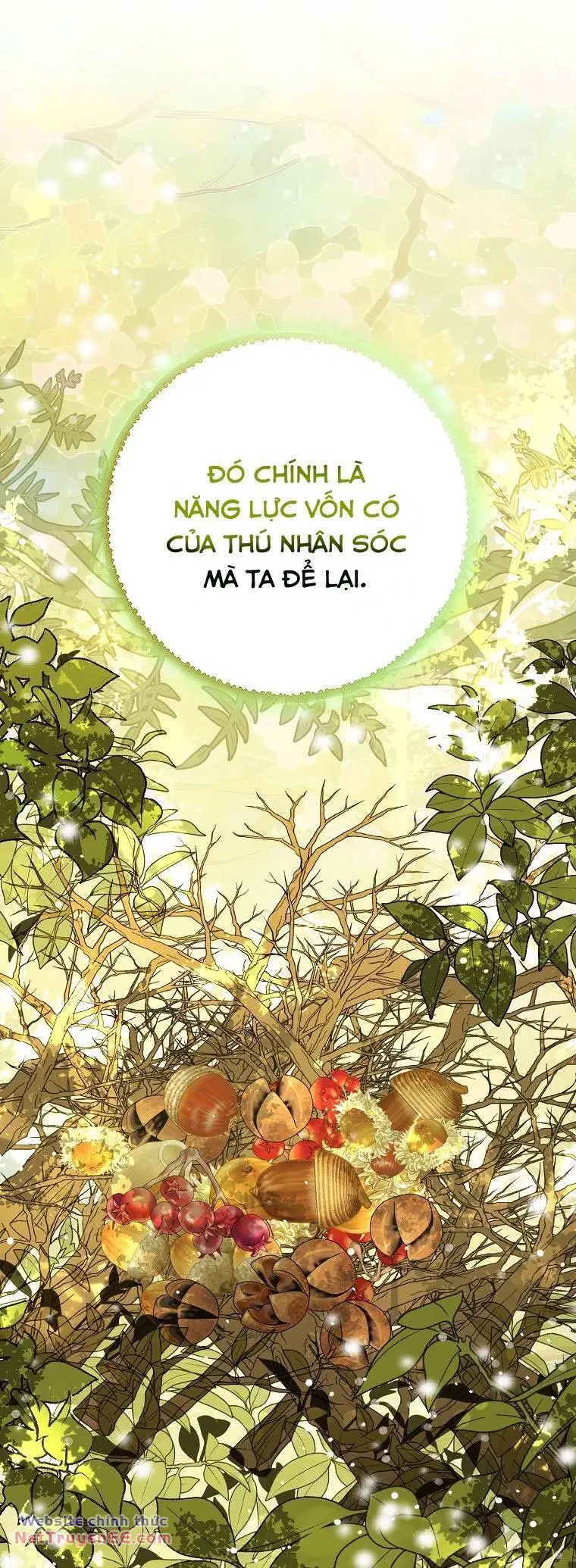 Sóc Nhỏ Tài Năng Nettruyen ZZZ Chương 74 Page 42