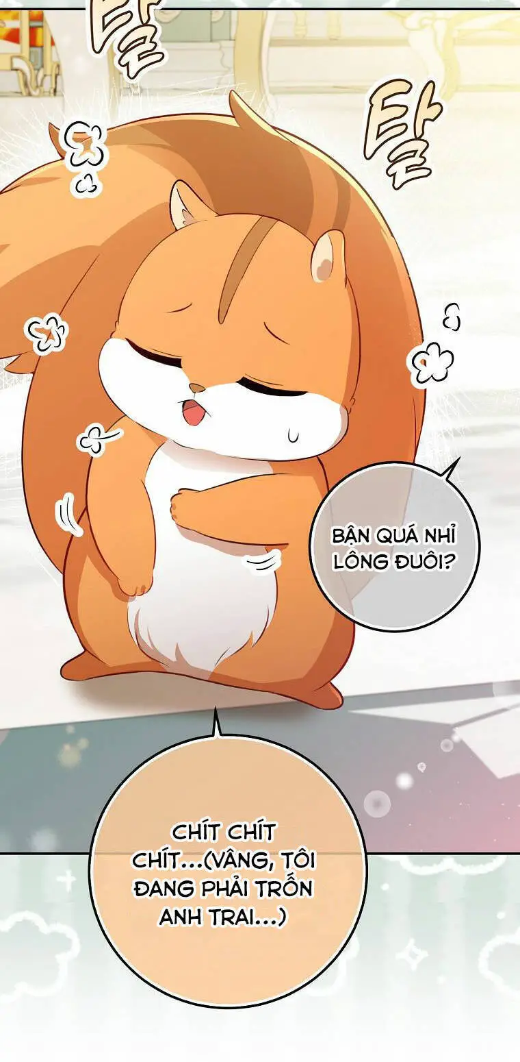 Sóc Nhỏ Tài Năng Nettruyen ZZZ Chương 52 Page 44