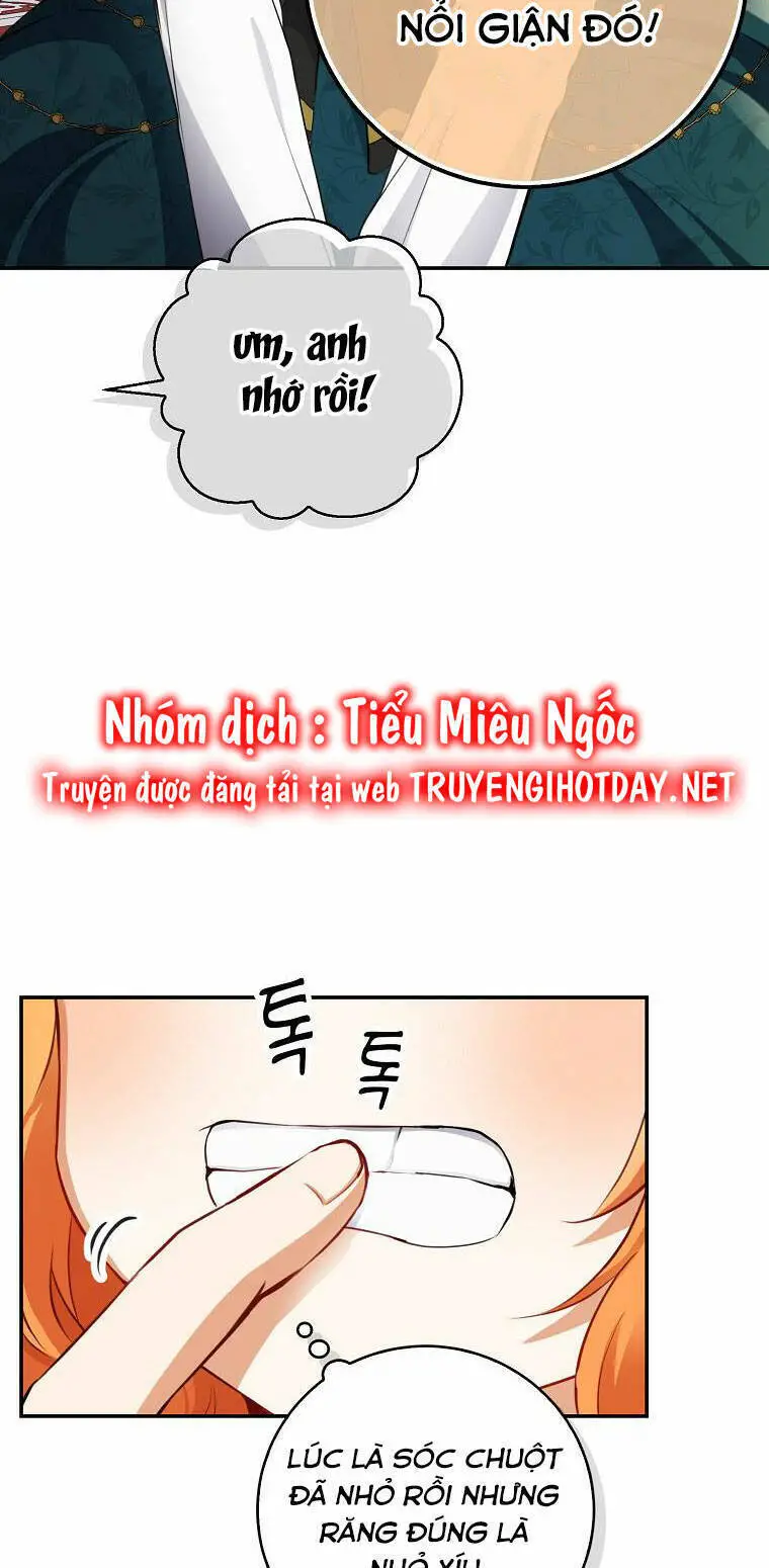 Sóc Nhỏ Tài Năng Nettruyen ZZZ Chương 52 Page 71