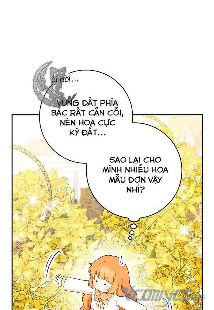 Sóc Nhỏ Tài Năng Nettruyen ZZZ Chương 21 Page 11