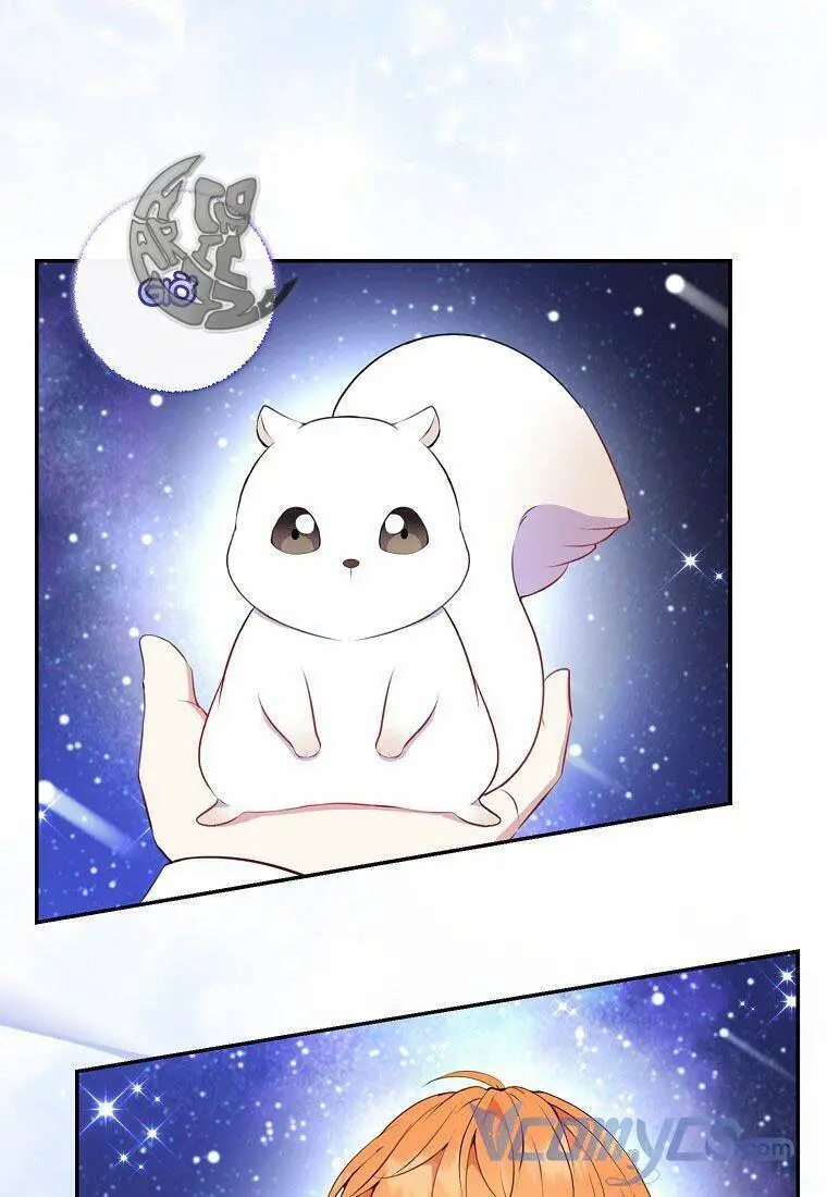 Sóc Nhỏ Tài Năng Nettruyen ZZZ Chương 13 Page 82