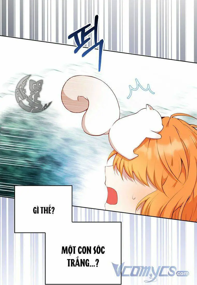 Sóc Nhỏ Tài Năng Nettruyen ZZZ Chương 12 Page 111