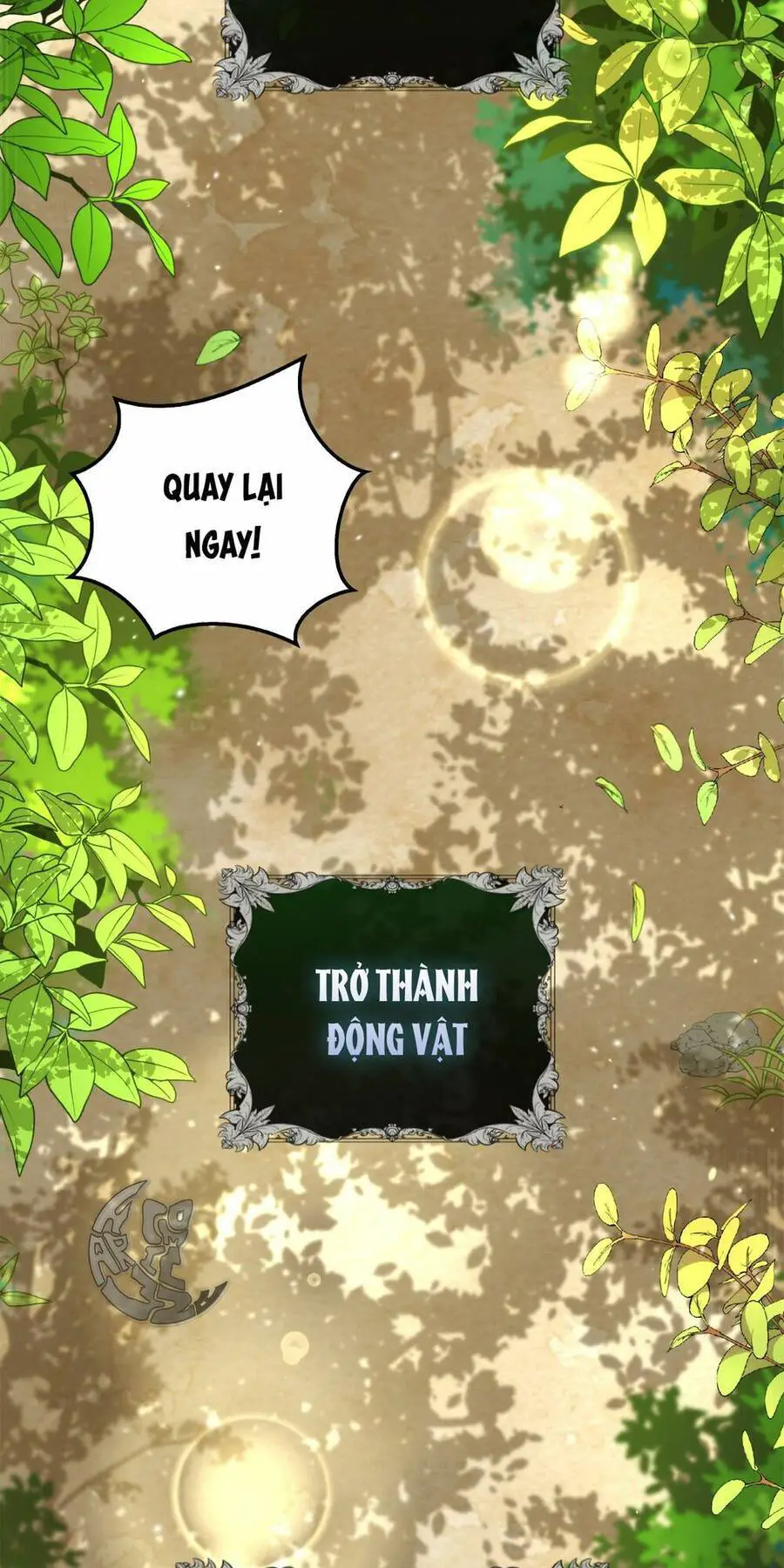 Sóc Nhỏ Tài Năng Nettruyen ZZZ Chương 2 Page 78