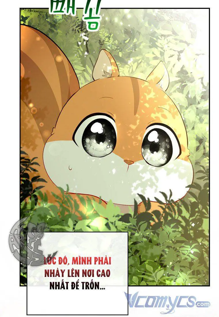 Sóc Nhỏ Tài Năng Nettruyen ZZZ Chương 22 Page 71