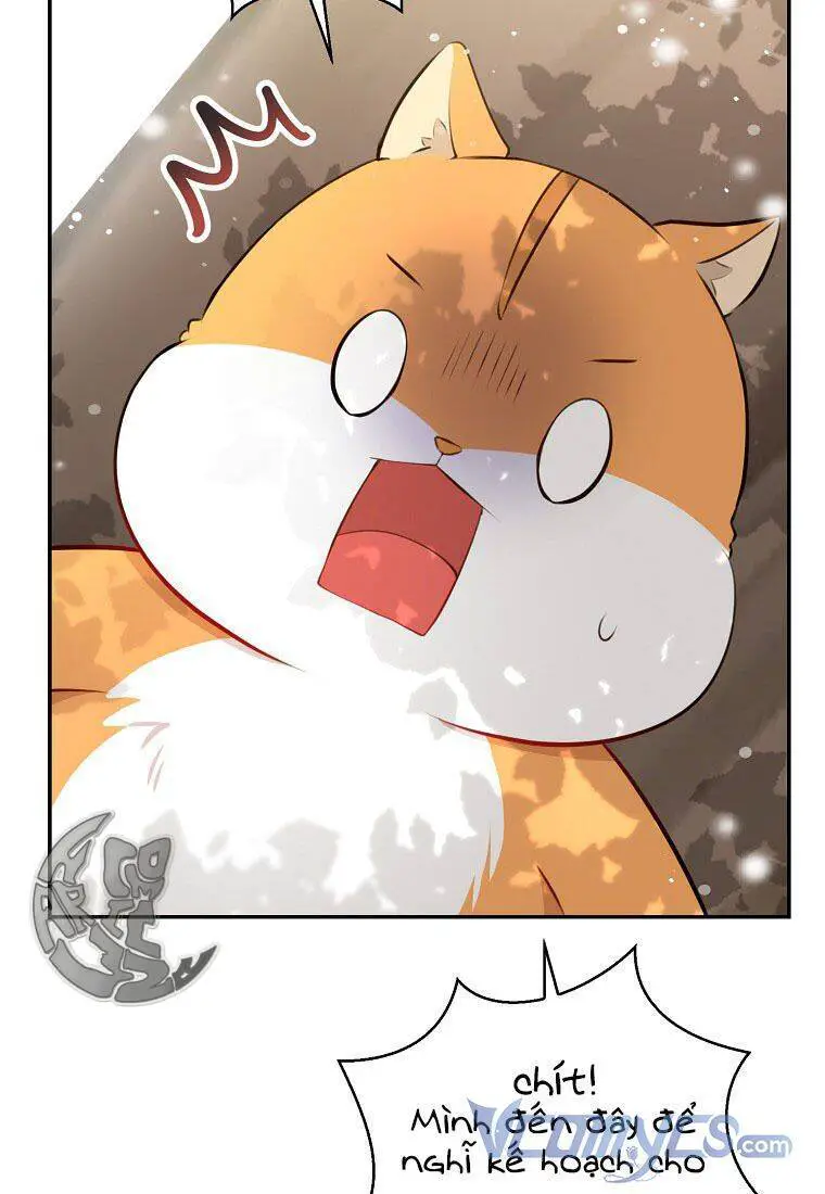 Sóc Nhỏ Tài Năng Nettruyen ZZZ Chương 22 Page 77