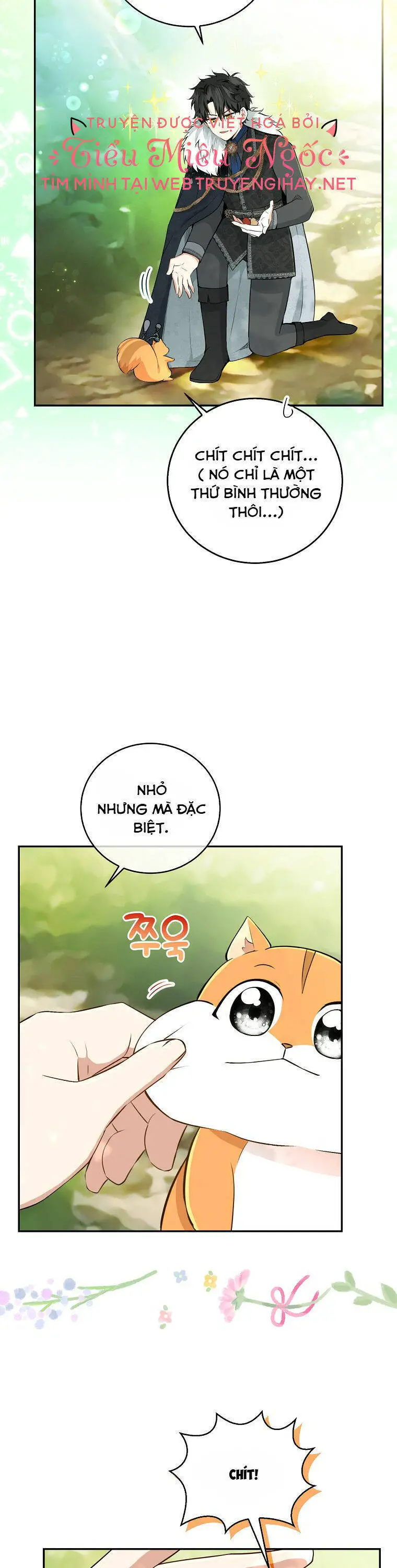 Sóc Nhỏ Tài Năng Nettruyen ZZZ Chương 29 Page 23