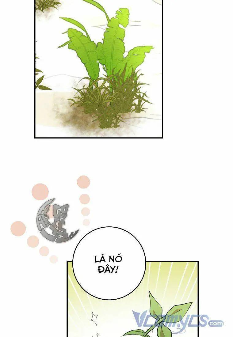 Sóc Nhỏ Tài Năng Nettruyen ZZZ Chương 8 Page 83