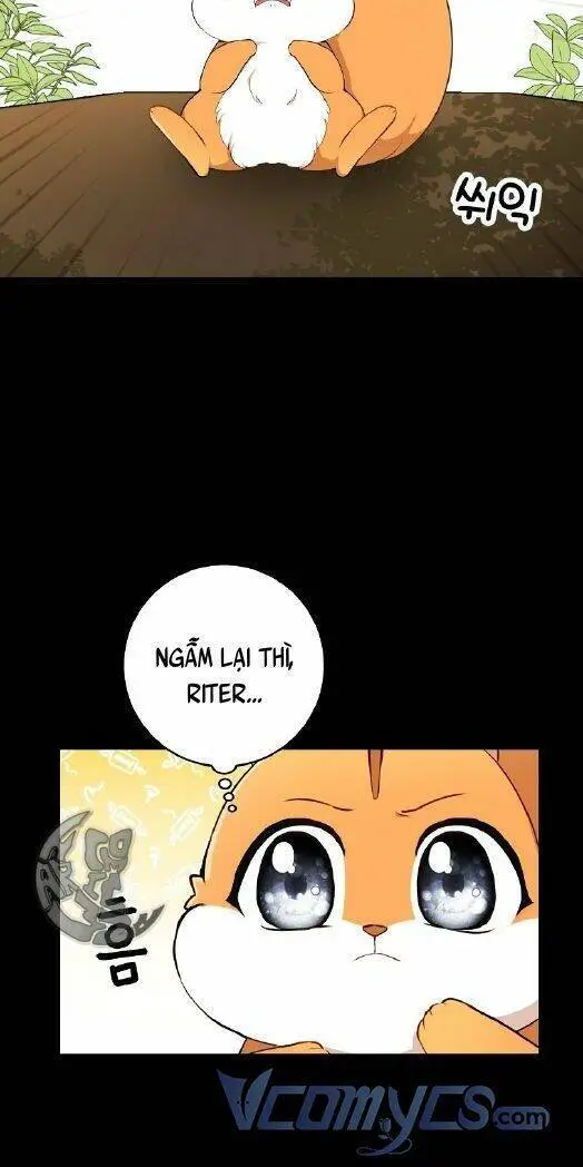 Sóc Nhỏ Tài Năng Nettruyen ZZZ Chương 3 Page 15