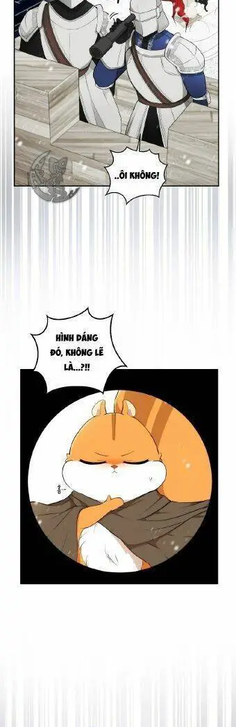 Sóc Nhỏ Tài Năng Nettruyen ZZZ Chương 3 Page 35