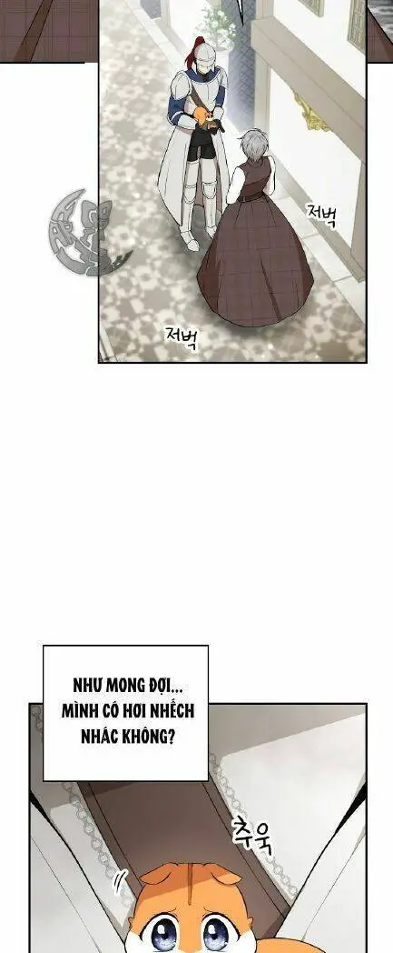 Sóc Nhỏ Tài Năng Nettruyen ZZZ Chương 3 Page 44