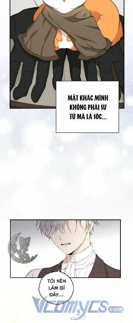Sóc Nhỏ Tài Năng Nettruyen ZZZ Chương 3 Page 45