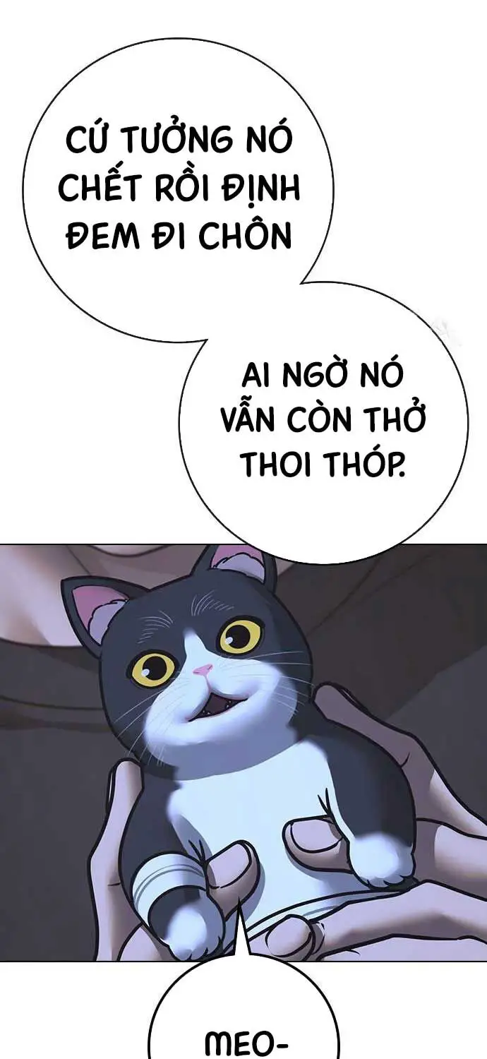 Nhiệm Vụ Đời Thật Nettruyen ZZZ Chương 136 Page 13